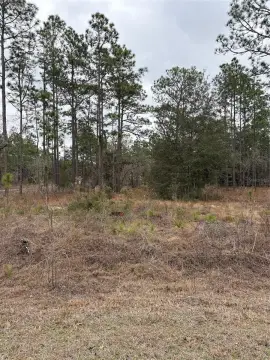 Rainbow Lakes Estates Buildable Lot