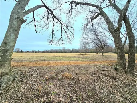 Unrestricted Land in Rains County