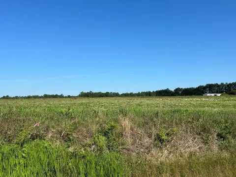 Residential Land in Dothan, AL