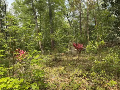 Residential Land in Tallahassee, Florida