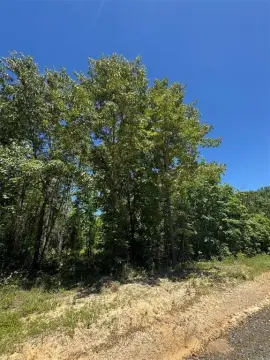 Development-Ready Wooded Lot