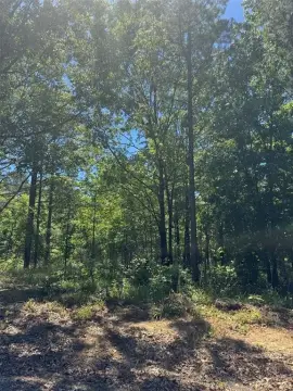 Build-Ready Homesite in Watson