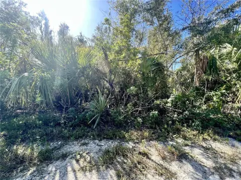 Land in Punta Gorda, FL