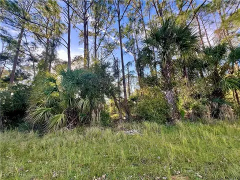 Residential Land in North Port