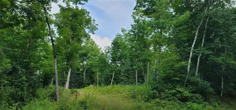 Wooded Hunting Land with Lake Views