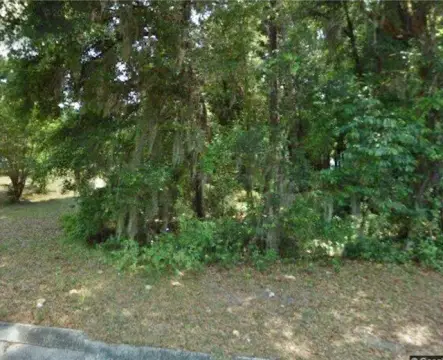 Residential Lot in Citrus County