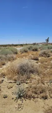 Mojave Land Investment Opportunity