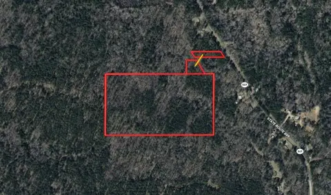 Mature Timber Hunting Tract