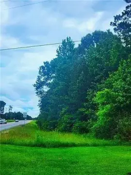 Wooded Development Acreage Tract