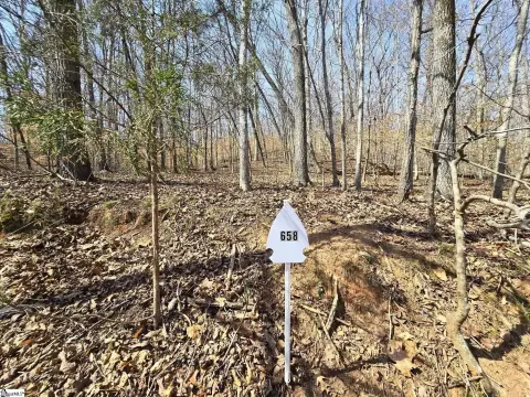 Wooded Lot in Chickasaw Point