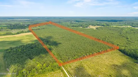 Timbered Agricultural Land