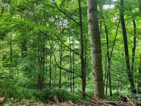 Two-Lot Mountain View Land
