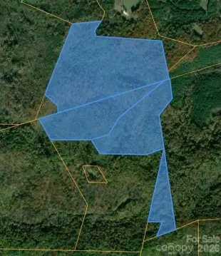 Wooded Hunting Land Tract