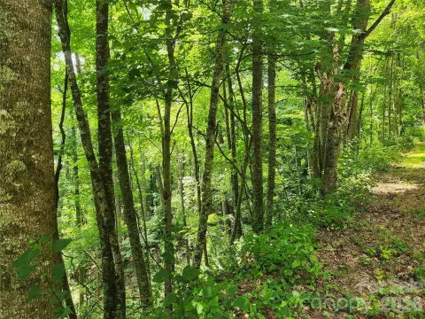 Mountain View Residential Land Parcel