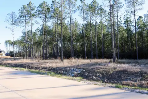 Residential Lot Near Sam Rayburn
