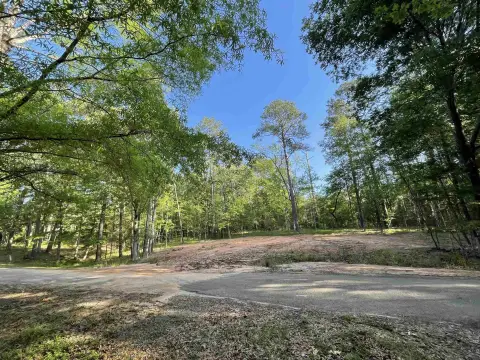 Residential Lots in Rayburn Country
