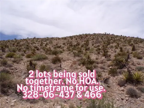 Land in Dolan Springs, AZ