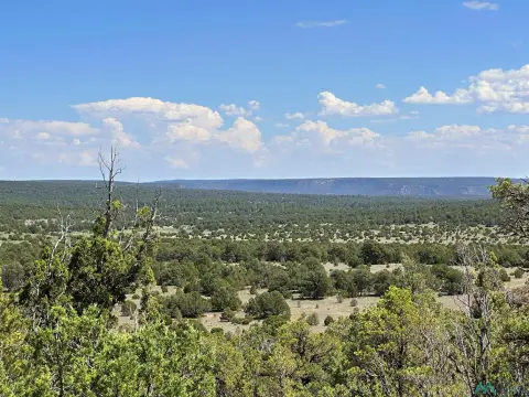 Residential Homesite in Tierra De Dios