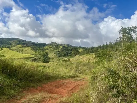 Expansive Land in Orocovis, PR