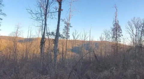 Off-Grid Recreational Hunting Tract