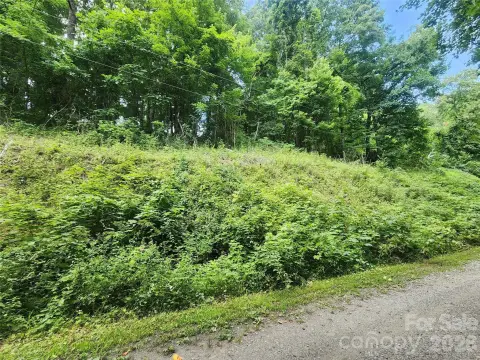 Residential Mountain Lot