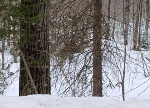 Watersmeet, MI Waterfront Land Parcel