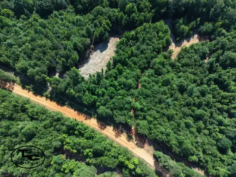 Recreational Hunting Land Tract