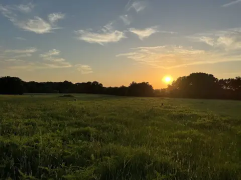 Vacant Land for Custom Home