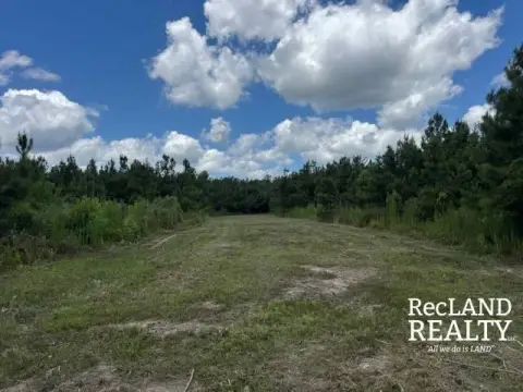 Timberland Hunting Property