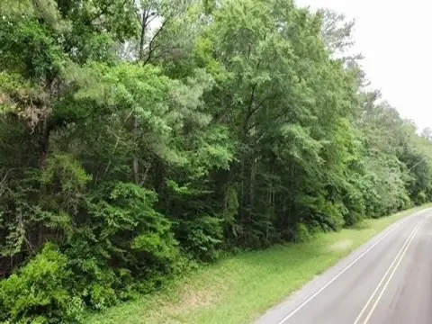 Livingston Land with Mature Timber