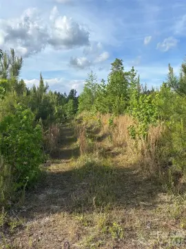 Heath Springs Acreage with Pond
