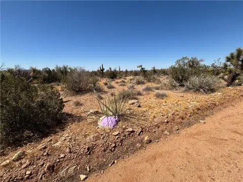 Vacant Land in Yucca, AZ