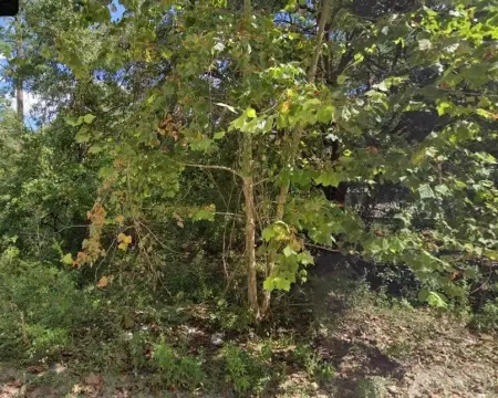 Land For Sale, Tallahassee, FL