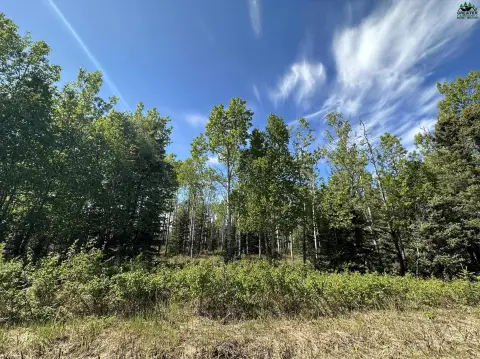 Delta Junction Residential Land