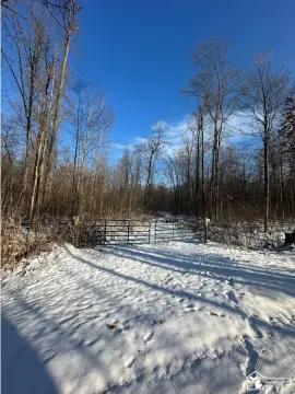 Residential Land in Maybee, MI