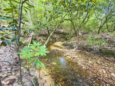 Recreational Hunting Land with Creek
