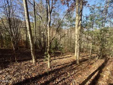 Versatile Mountain Land in Hampton, TN