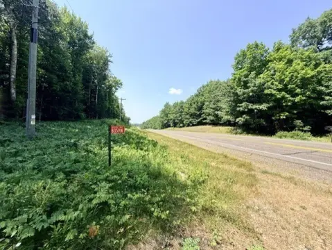 Wooded Recreation Land Parcel