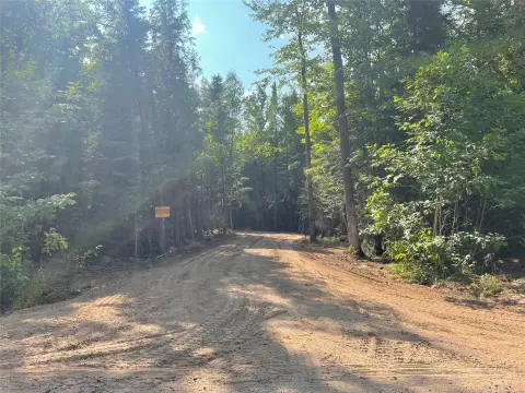 Hunting Land with Trail Access