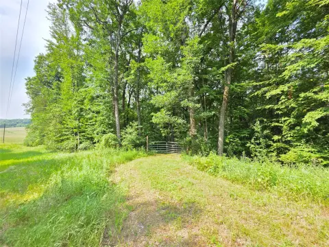 Hunting Land with Cleared Building Site