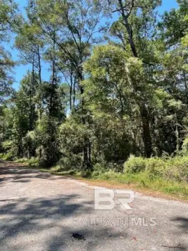 Undeveloped Land in Mobile, AL