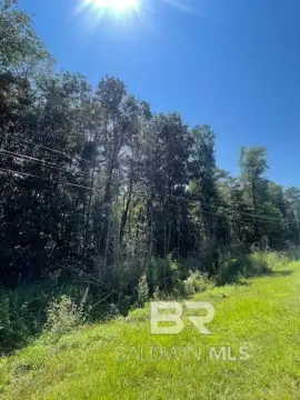 Undeveloped Lot on Quiet Street