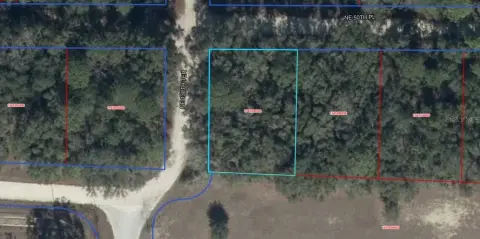 Vacant Lot in Williston, FL