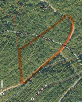 Wooded Acreage Near White River