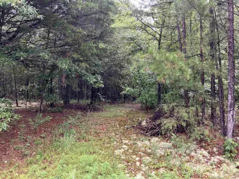 Land Near Ouachita River