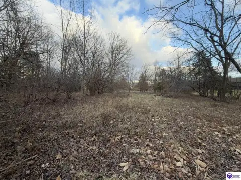 Residential Lot in Lincoln Meadows