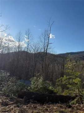 North Georgia Mountain Homesite