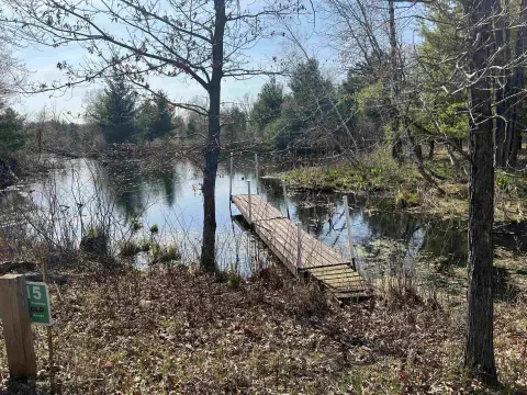 Waterfront Lot on Nepco Lake