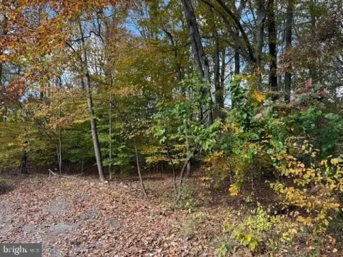 Three Newark Lots For Sale