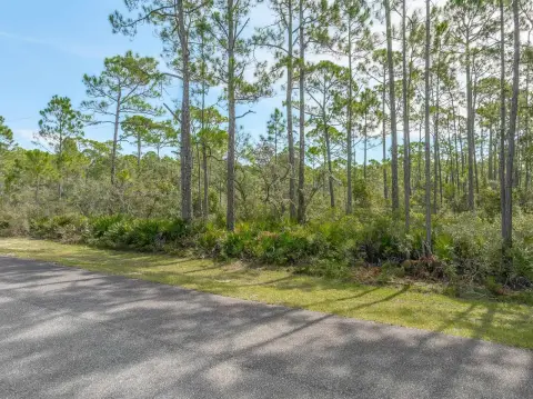 Wakulla County Airport Land